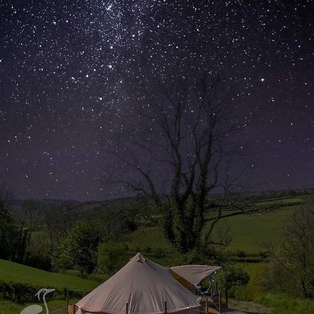 Herons Retreat Hotel Llandysul Exterior photo